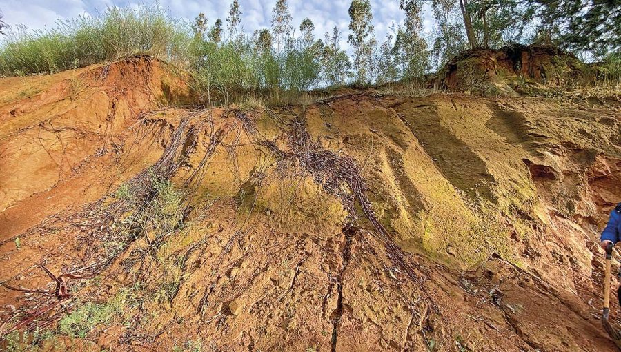 Tras larga evaluación ambiental, aprueban histórico proyecto de tierras raras en Penco
