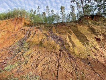 Tras larga evaluación ambiental, aprueban histórico proyecto de tierras raras en Penco