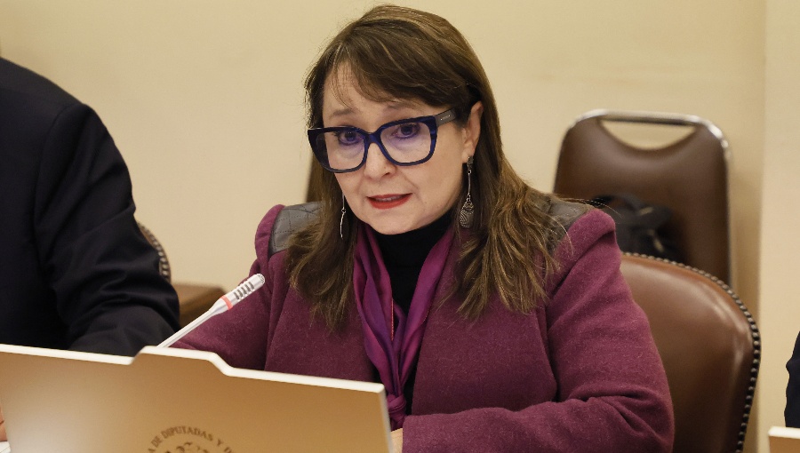 Diputada Hernando presidirá comisión que revisará acusación constitucional contra Grau