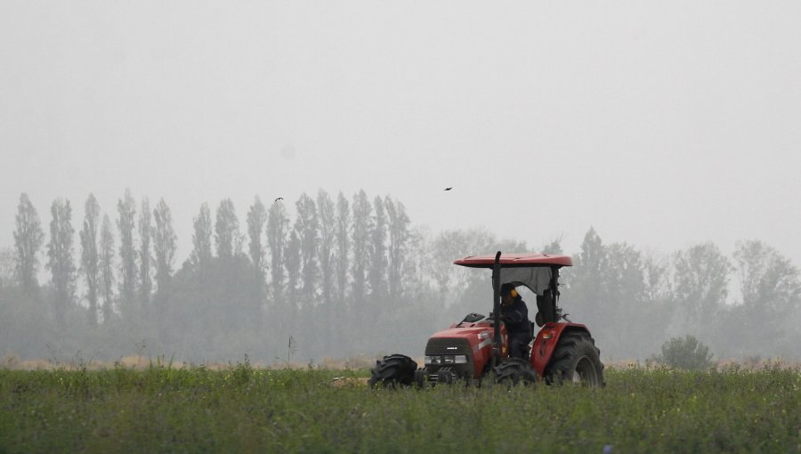 Ministro Campos proyecta una temporada 2026-2027 "desafiante" para la Agricultura y adelanta propuesta para nueva ley de fomento forestal
