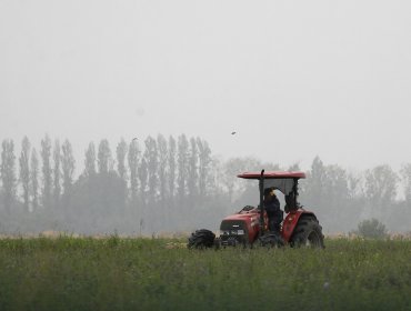 Ministro Campos proyecta una temporada 2026-2027 "desafiante" para la Agricultura y adelanta propuesta para nueva ley de fomento forestal