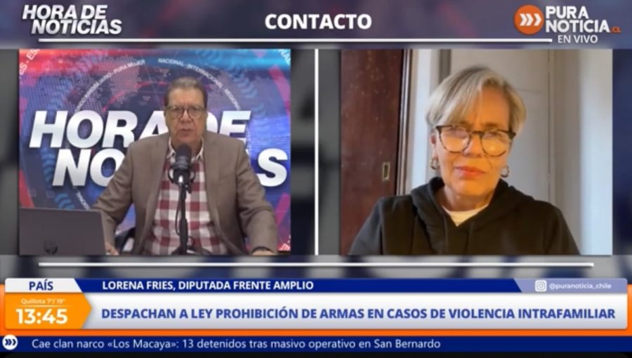 Diputada Lorena Fries por ley de prohibición de armas por VIF: “A partir de la denuncia el tribunal puede incautar el arma”