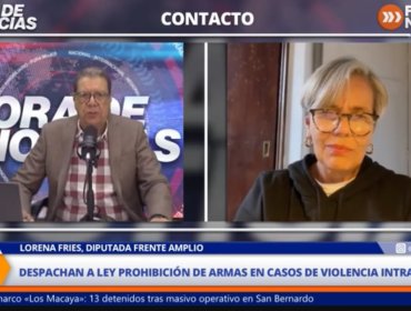 Diputada Lorena Fries por ley de prohibición de armas por VIF: “A partir de la denuncia el tribunal puede incautar el arma”