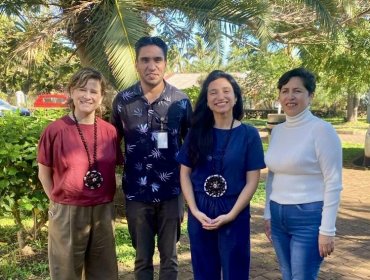 Seremi de Salud de Valparaíso refuerza en Rapa Nui acciones preventivas ante presencia del mosquito transmisor del dengue