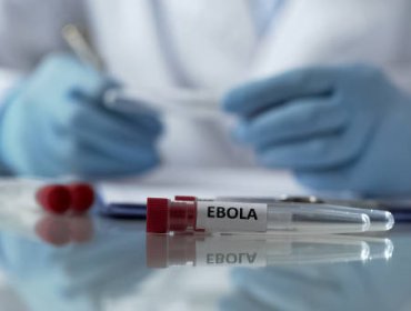 OMS recalca el riesgo por transmisión de ébola sigue siendo "bajo" ante inicio del Mundial