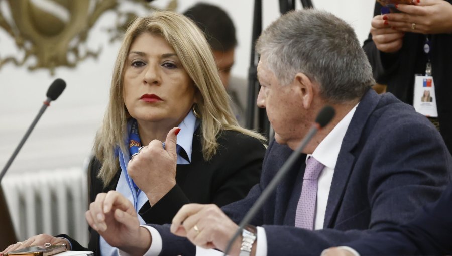 Diputada Parisi dice que el proyecto de ley de Responsabilidad Parental "merece ser analizado"