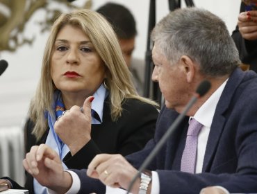 Diputada Parisi dice que el proyecto de ley de Responsabilidad Parental "merece ser analizado"