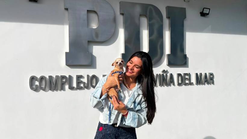 El milagro de "Aurelio": PDI recupera en Coquimbo a perrito chihuahua robado hace dos años en Viña del Mar