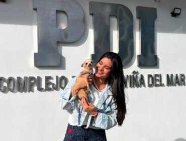 El milagro de "Aurelio": PDI recupera en Coquimbo a perrito chihuahua robado hace dos años en Viña del Mar