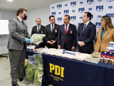 Incautan drogas avaluadas en $200 millones tras investigación por robo de suplementos alimenticios en Chillán