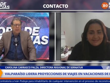 Carolina Carrasco, directora regional de Sernatur: "Nos preocupa la baja en el comercio"