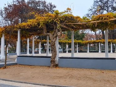 Vecinos de Limache alertan incremento de delitos, pero Alcalde defiende refuerzo a la seguridad con tecnología y patrullajes