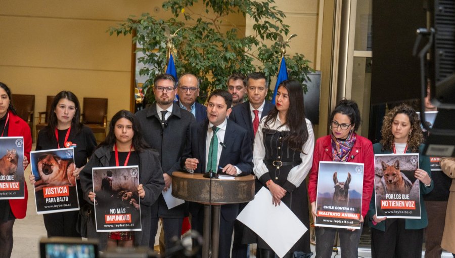 «Ley Balto»: Diputados presentan proyecto para endurecer penas contra el maltrato animal