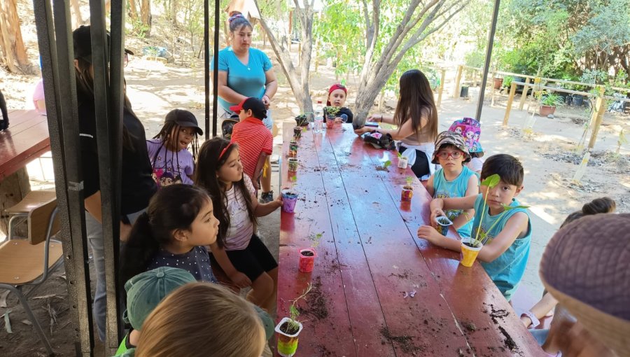 Villa Alemana abre su primera versión gratuita y familiar de «Escuela de Invierno 2026» en el Parque La Reserva