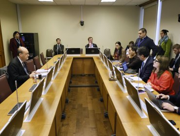 Comisión revisora votaría el próximo lunes el informe de la acusación constitucional contra el exministro Grau