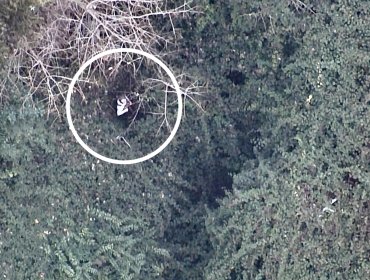 Prófugo de la justicia cayó tras esconderse en un hoyo entre arbustos: desbaratan banda ligada a robos en Valparaíso y Viña del Mar
