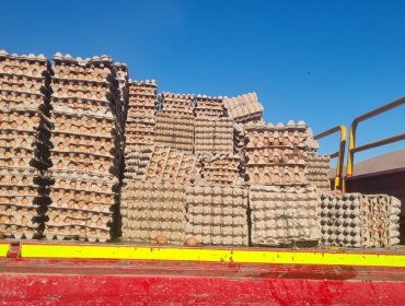 Carabineros incauta 72 mil huevos de contrabando en Tarapacá, el mayor decomiso registrado en la región