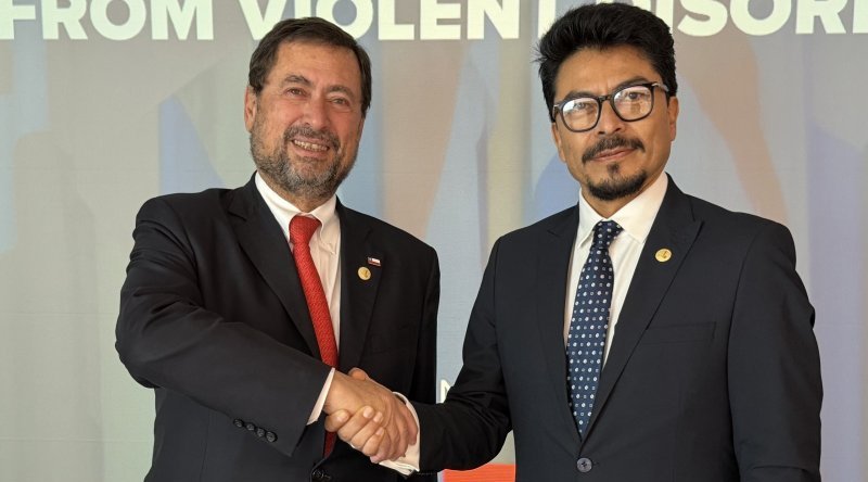 Canciller reafirma apoyo a la institucionalidad democrática y estabilidad de Bolivia en evento en la OEA