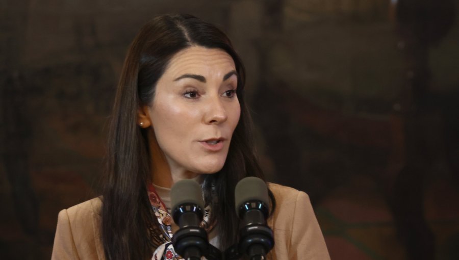 Ministra Arzola tras fallo del TC por Escuelas Protegidas: "Nuestro objetivo sigue siendo el mismo, avanzar en la protección"