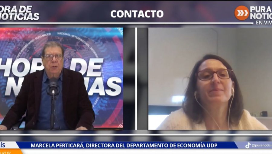 Economista Marcela Perticará por desempleo: “El mercado laboral chileno hace varios semestres que está débil”