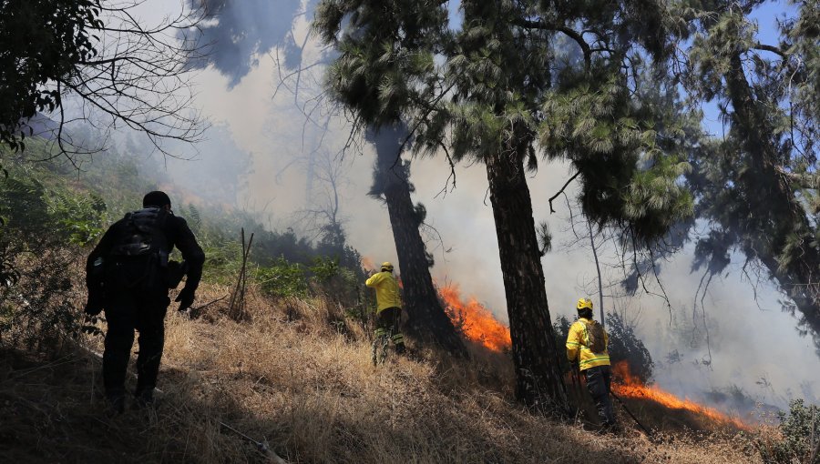 Conaf refuerza llamado a la prevención ante inusual aumento de incendios en invierno