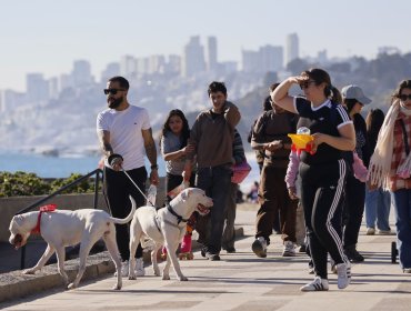 Gremios del turismo y del transporte destacan positivo balance del primer fin de semana largo del invierno