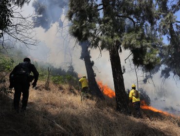 Conaf refuerza llamado a la prevención ante inusual aumento de incendios en invierno