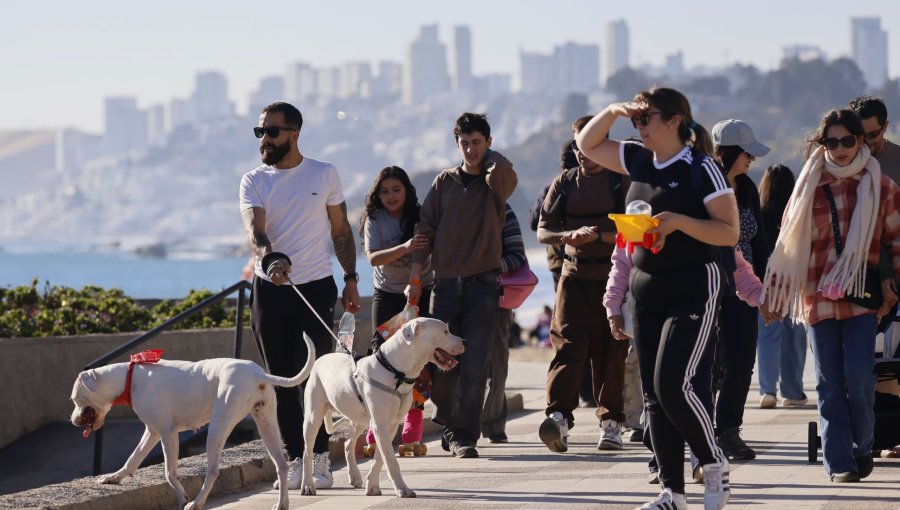 Gremios del turismo y del transporte destacan positivo balance del primer fin de semana largo del invierno