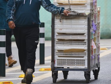 Alarmante cesantía en la provincia de Marga Marga: tasa de desempleo supera el promedio de la región de Valparaíso y del país