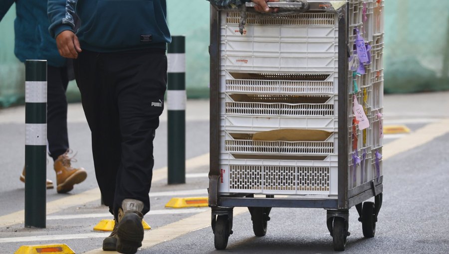 Alarmante cesantía en la provincia de Marga Marga: tasa de desempleo supera el promedio de la región de Valparaíso y del país