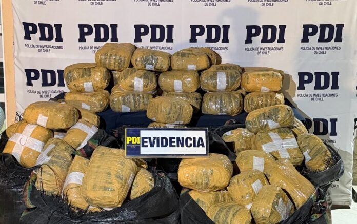 Investigan hallazgo de 175 kilos de marihuana en zona fronteriza próxima a Hito Cajón en San Pedro de Atacama