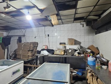 Fuerte olor nauseabundo delató a carnicería clandestina en Peñaflor: hallan 450 kilos de carne en deficientes condiciones