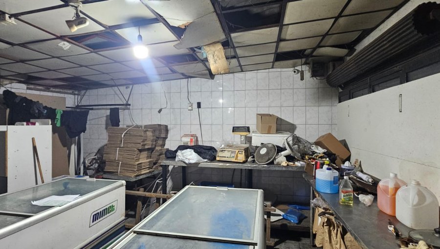 Fuerte olor nauseabundo delató a carnicería clandestina en Peñaflor: hallan 450 kilos de carne en deficientes condiciones