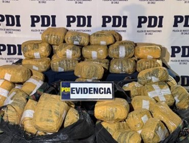 Investigan hallazgo de 175 kilos de marihuana en zona fronteriza próxima a Hito Cajón en San Pedro de Atacama