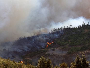 Conaf alerta por riesgo de incendios en Ñuble, Biobío y La Araucanía por fuertes vientos