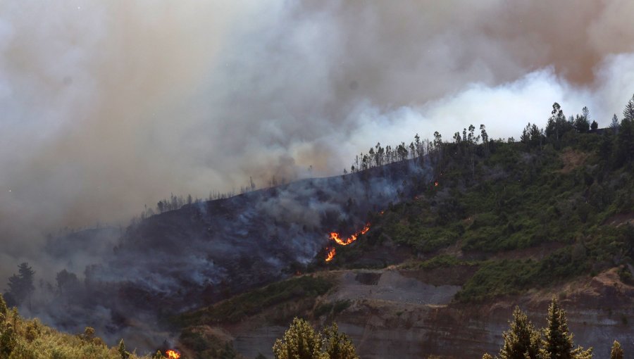 Conaf alerta por riesgo de incendios en Ñuble, Biobío y La Araucanía por fuertes vientos