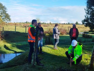Inician obras de emergencia para proteger el Complejo Arqueológico Monte Verde en Los Lagos