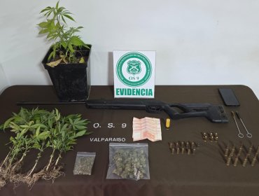Tras las rejas queda sujeto detenido con municiones, drogas, dinero falso y cultivos indoor en el cerro Playa Ancha