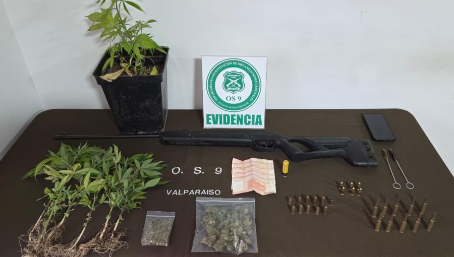 Tras las rejas queda sujeto detenido con municiones, drogas, dinero falso y cultivos indoor en el cerro Playa Ancha