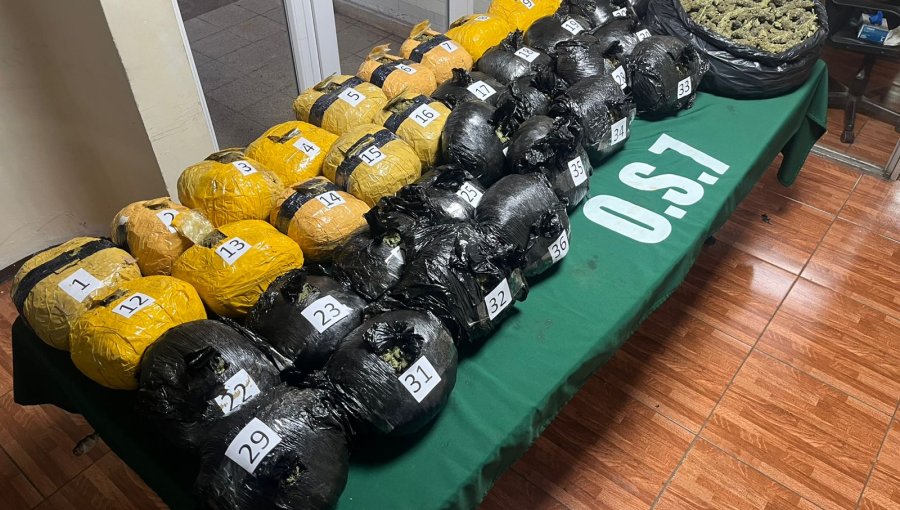 Detienen a ciudadano boliviano tras ser sorprendido transportando más de 45 kilos de marihuana en Collipulli