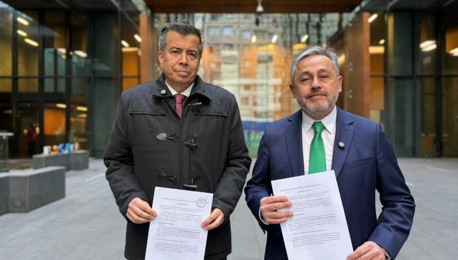 Diputados Celis y Durán presentan denuncia contra exdirector de Migraciones tras informe de Contraloría sobre niños haitianos