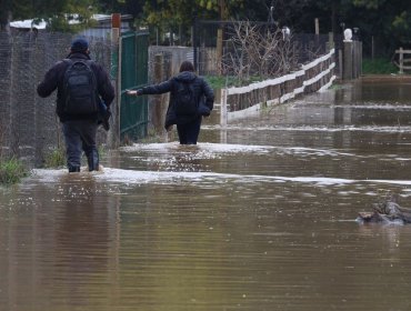Cortes de rutas y deslizamientos de material deja sistema frontal que se desarrolla entre las regiones de Maule y Los Lagos