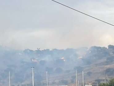 Detienen a una persona tras incendio forestal que consumió al menos tres hectáreas en Villa Alemana