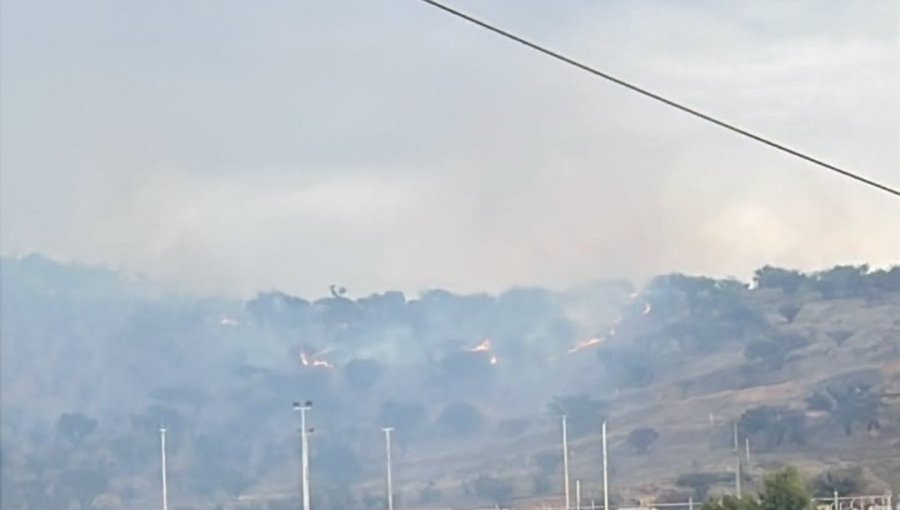 Detienen a una persona tras incendio forestal que consumió al menos tres hectáreas en Villa Alemana