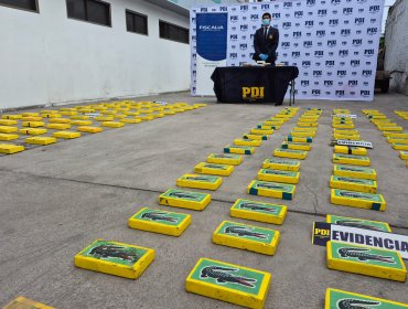 Detienen a banda que ingresaba droga por pasos fronterizos y decomisan más de 195 kilos de cocaína en Tarapacá