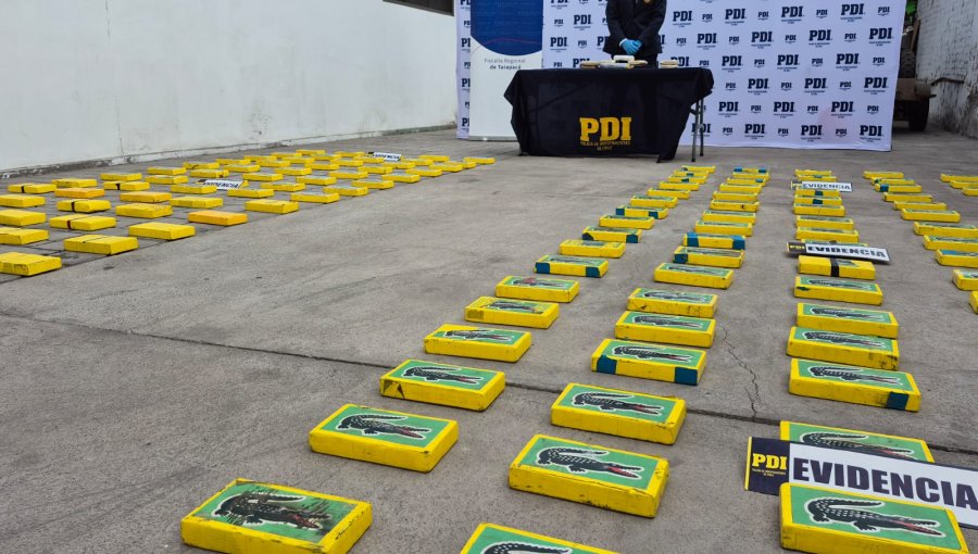 Detienen a banda que ingresaba droga por pasos fronterizos y decomisan más de 195 kilos de cocaína en Tarapacá