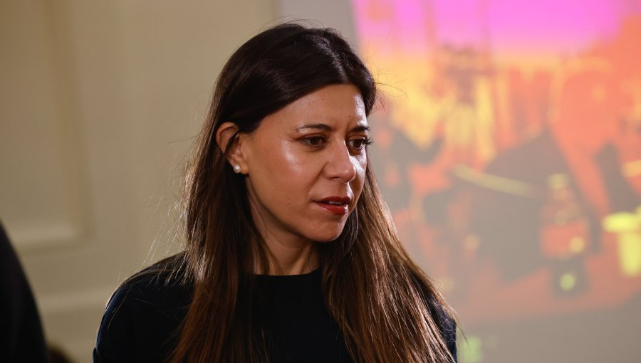 Cicardini acusa a Vodanovic y Castro de una "colusión" con Quiroz para no ir al TC por la invariabilidad tributaria en la megarreforma
