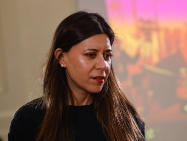 Cicardini acusa a Vodanovic y Castro de una "colusión" con Quiroz para no ir al TC por la invariabilidad tributaria en la megarreforma