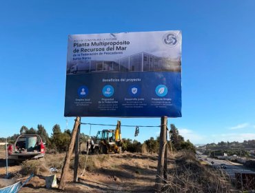 Escala polémica por planta de jibia de Puchuncaví: empresa, pescadores y Esval responden a críticas del Alcalde de Concón