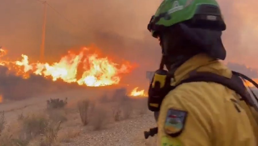Líderes europeos expresan sus condolencias por el mortal incendio en Andalucía que deja 12 fallecidos y 23 desaparecidos